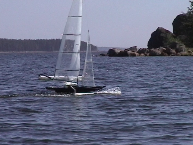 C2005